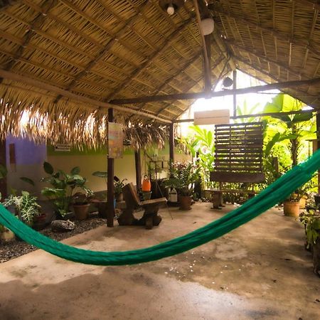 Hostel Coracao Verde Alter do Chão Exteriér fotografie