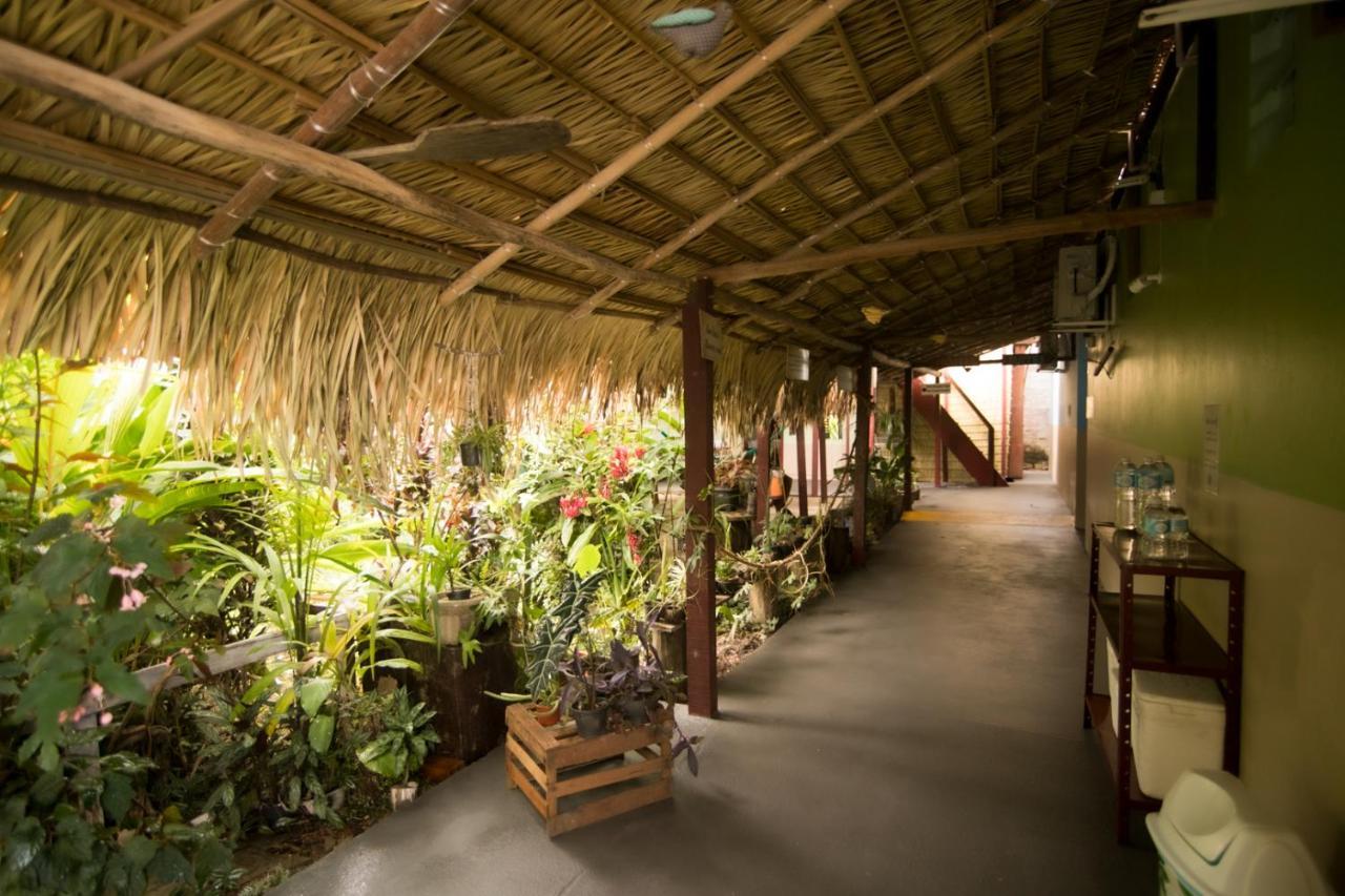 Hostel Coracao Verde Alter do Chão Exteriér fotografie
